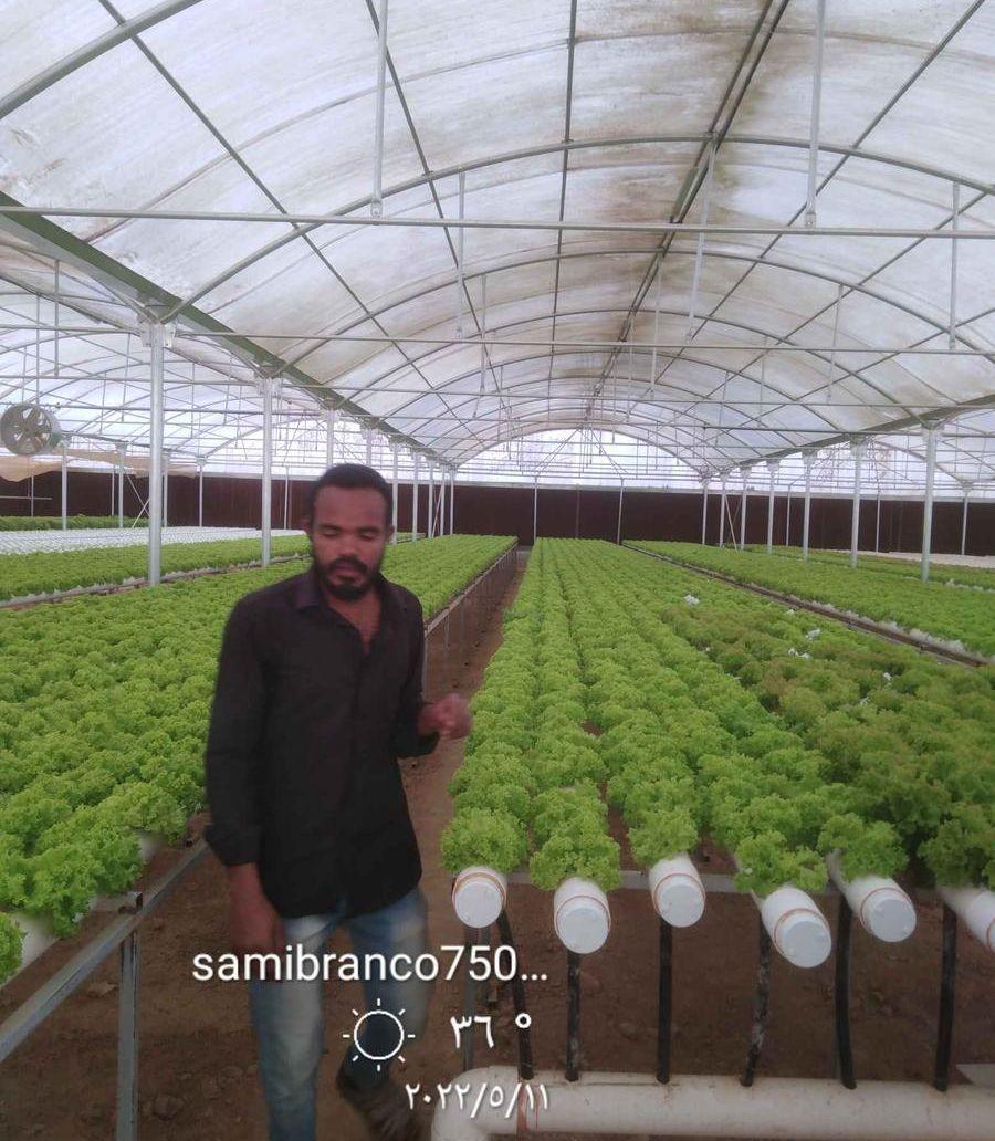 مهندس زراعي أبحث