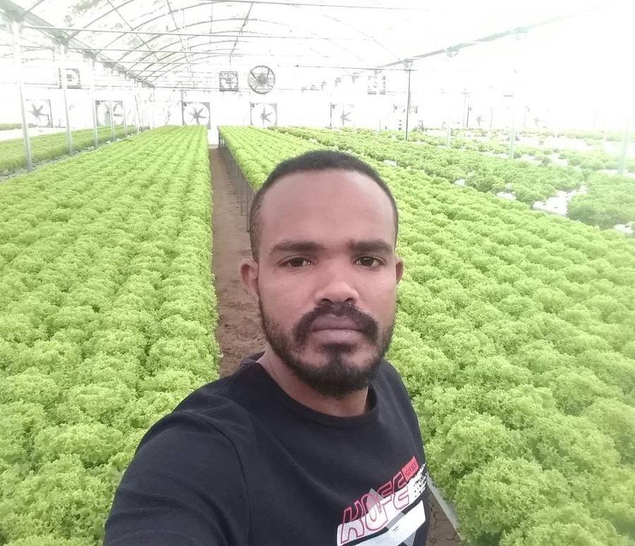 مهندس زراعي أبحث