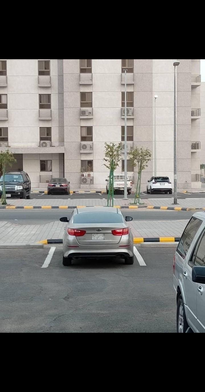 اوبتيما