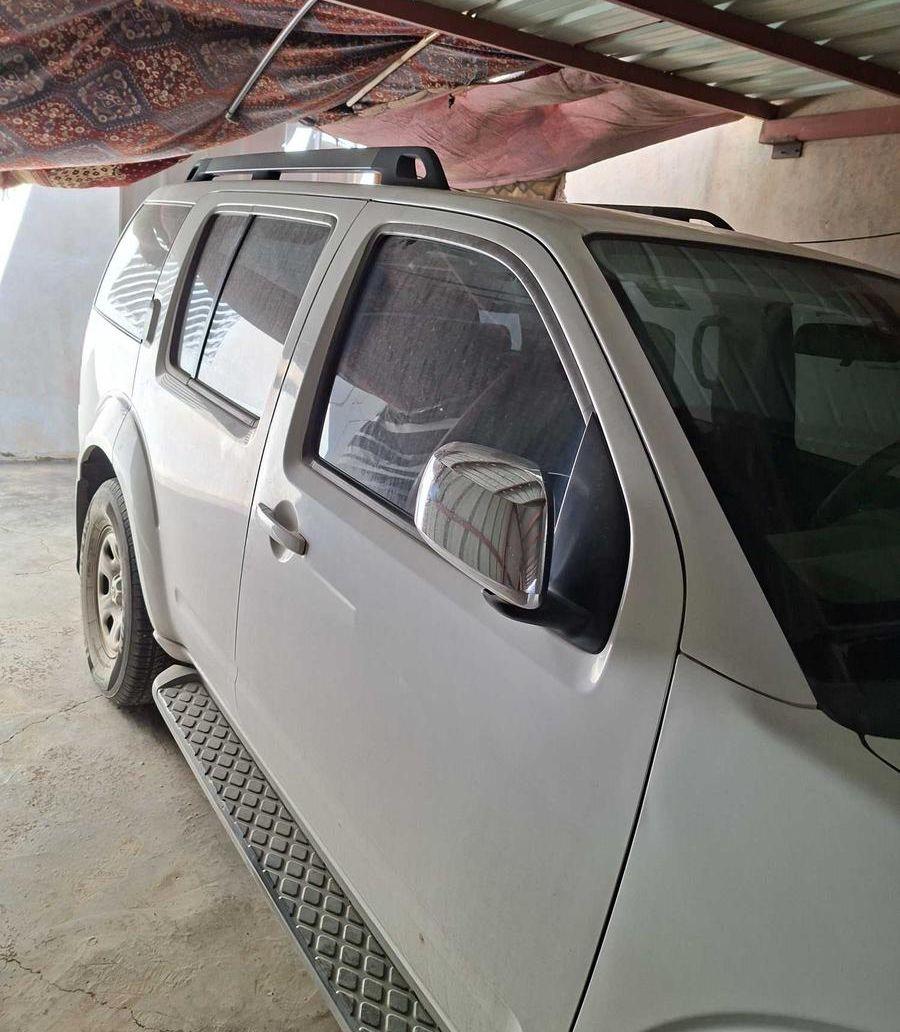 باثفندر 2010