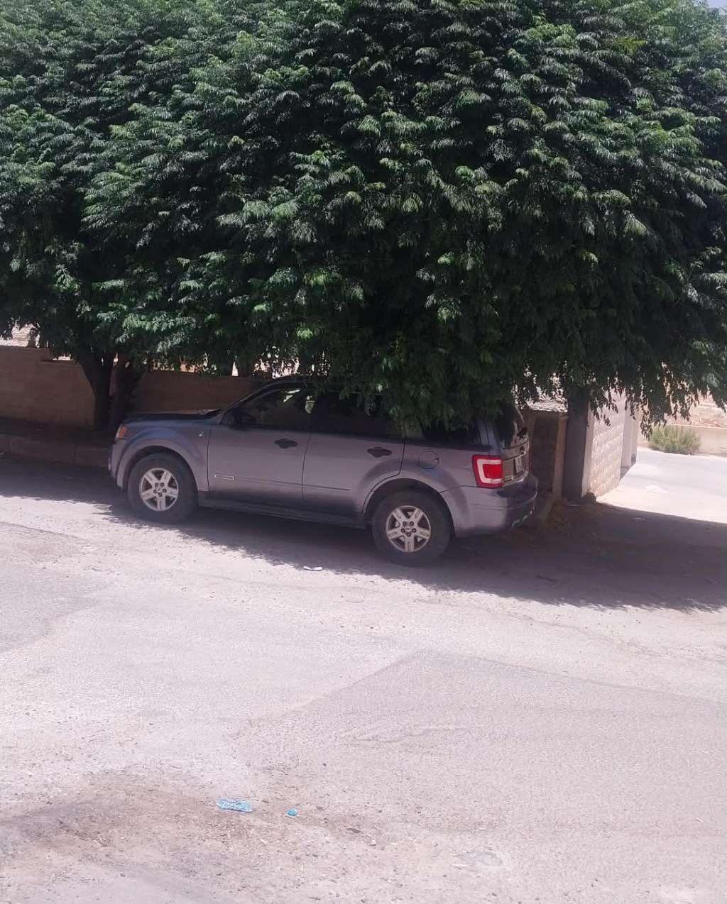 2008, فورد, اسكايب,
