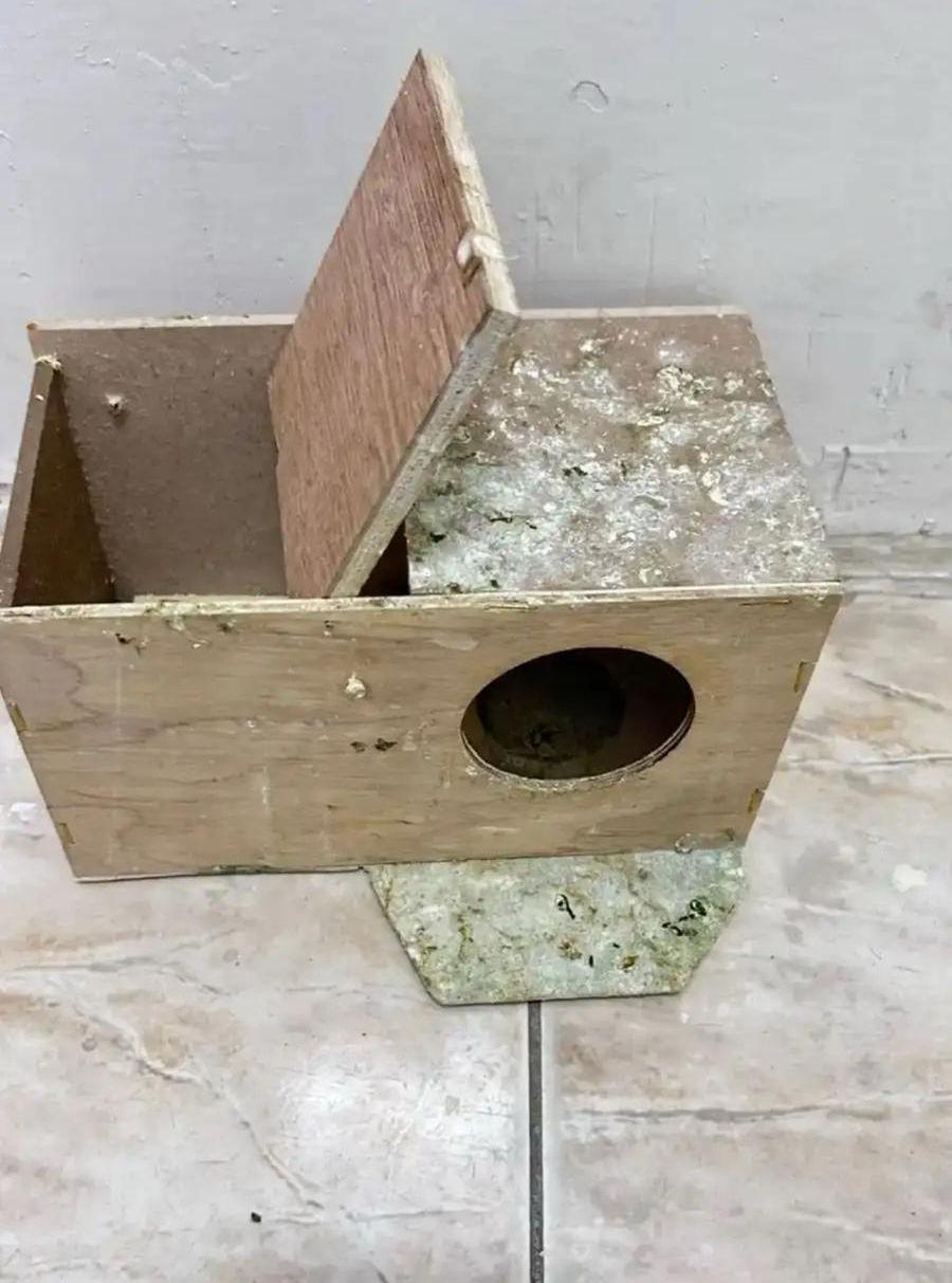 كوخ حق روز