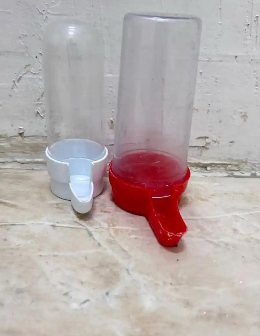 كوخ حق روز
