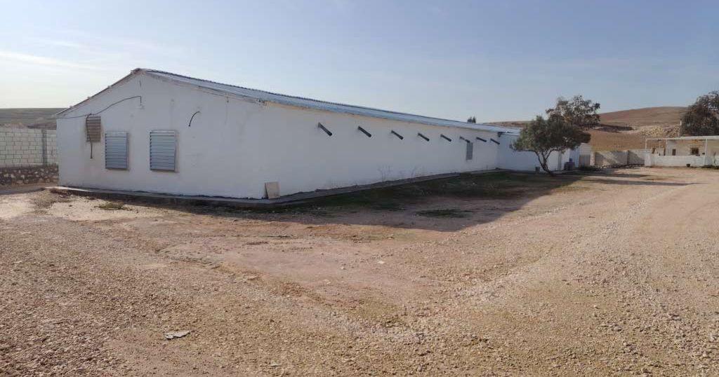 مزرعة دواجن دجاج