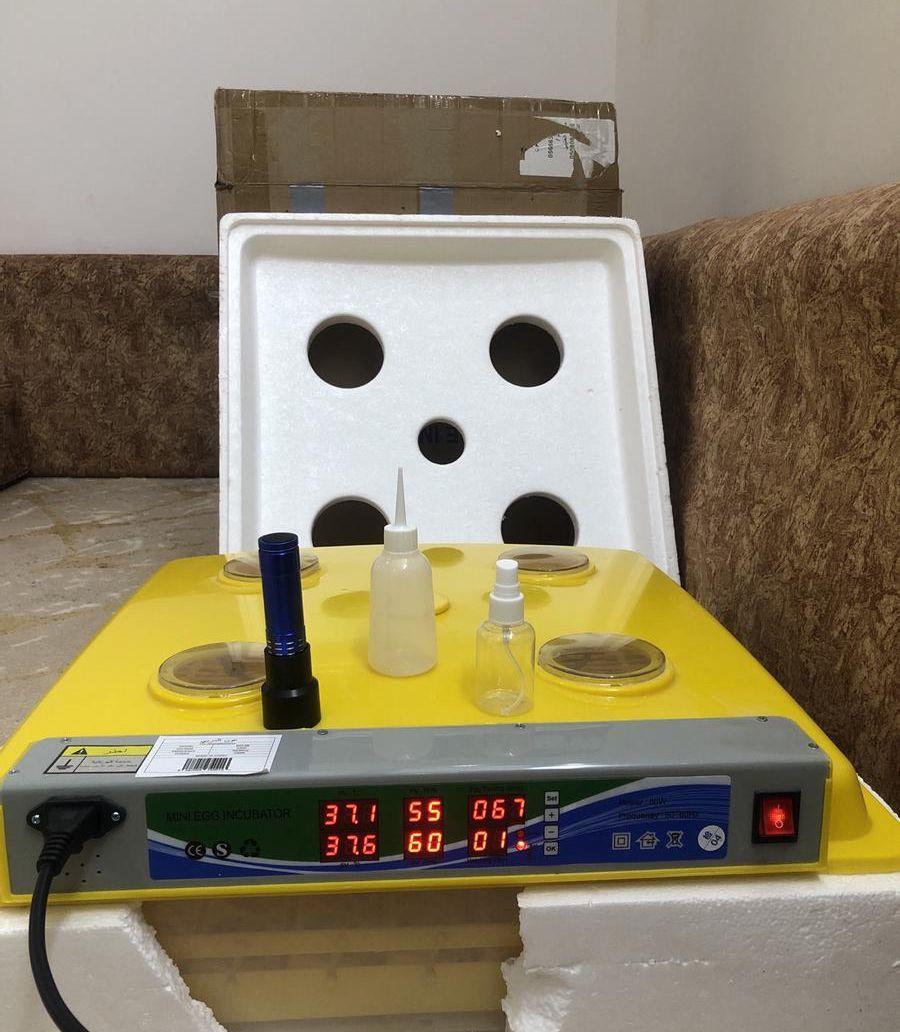 فقاسة بيض 98بيضة