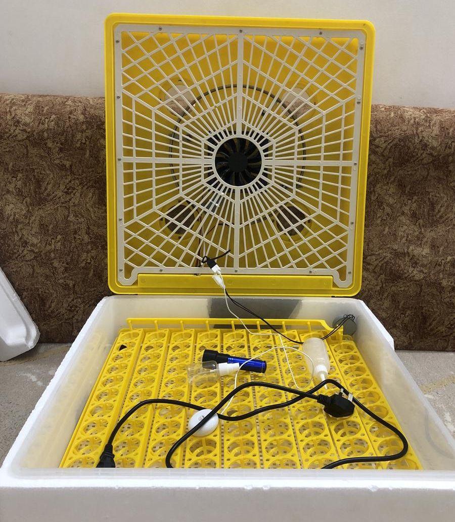 فقاسة بيض 98بيضة