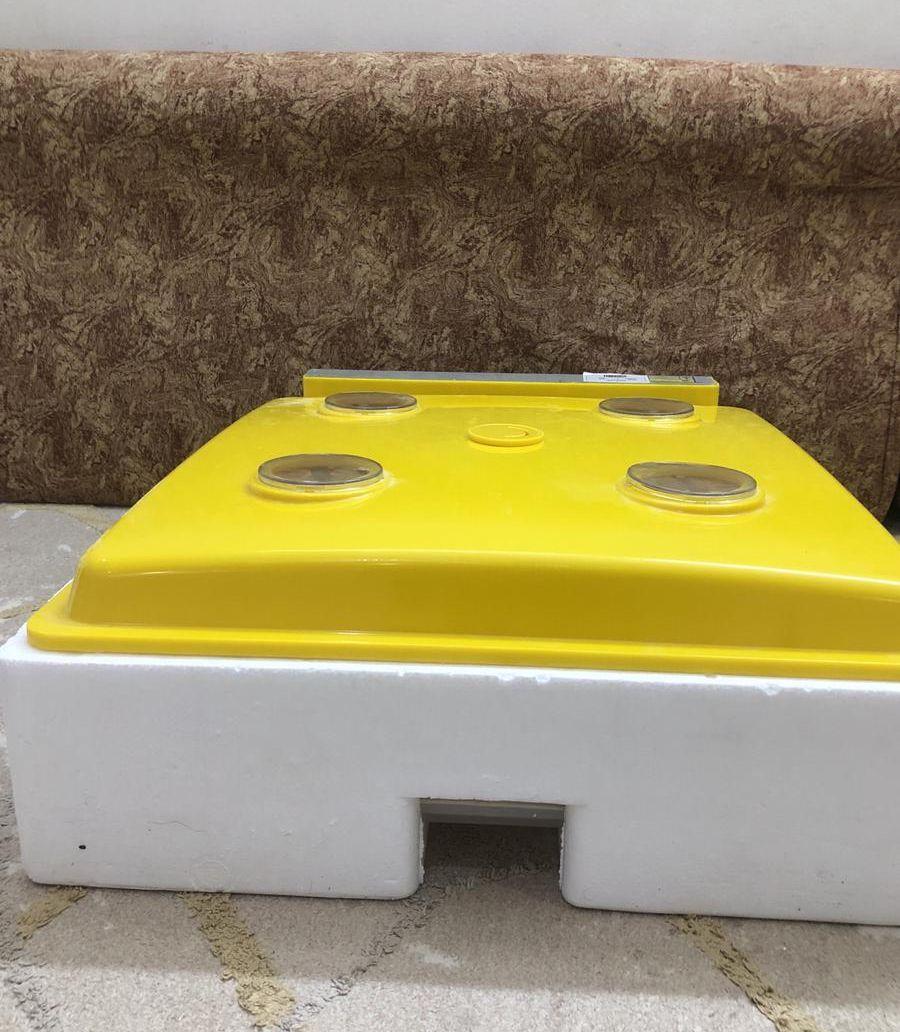 فقاسة بيض 98بيضة
