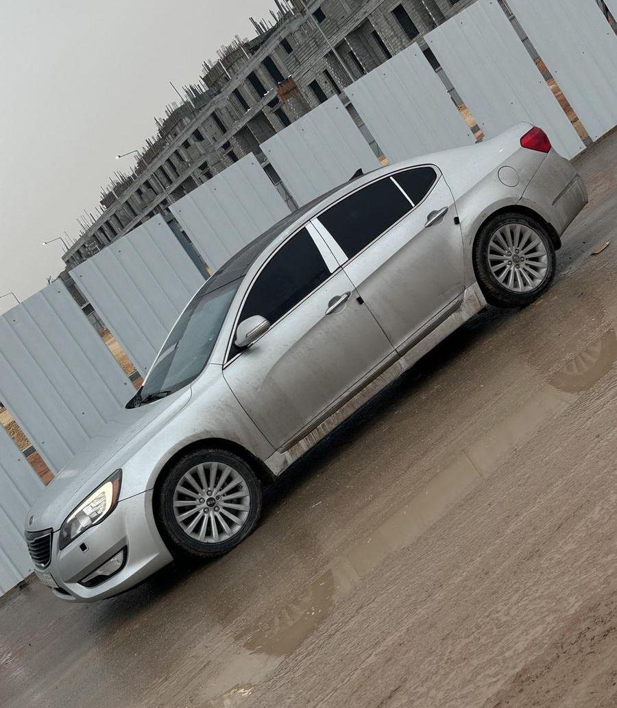 كادينزا 2013