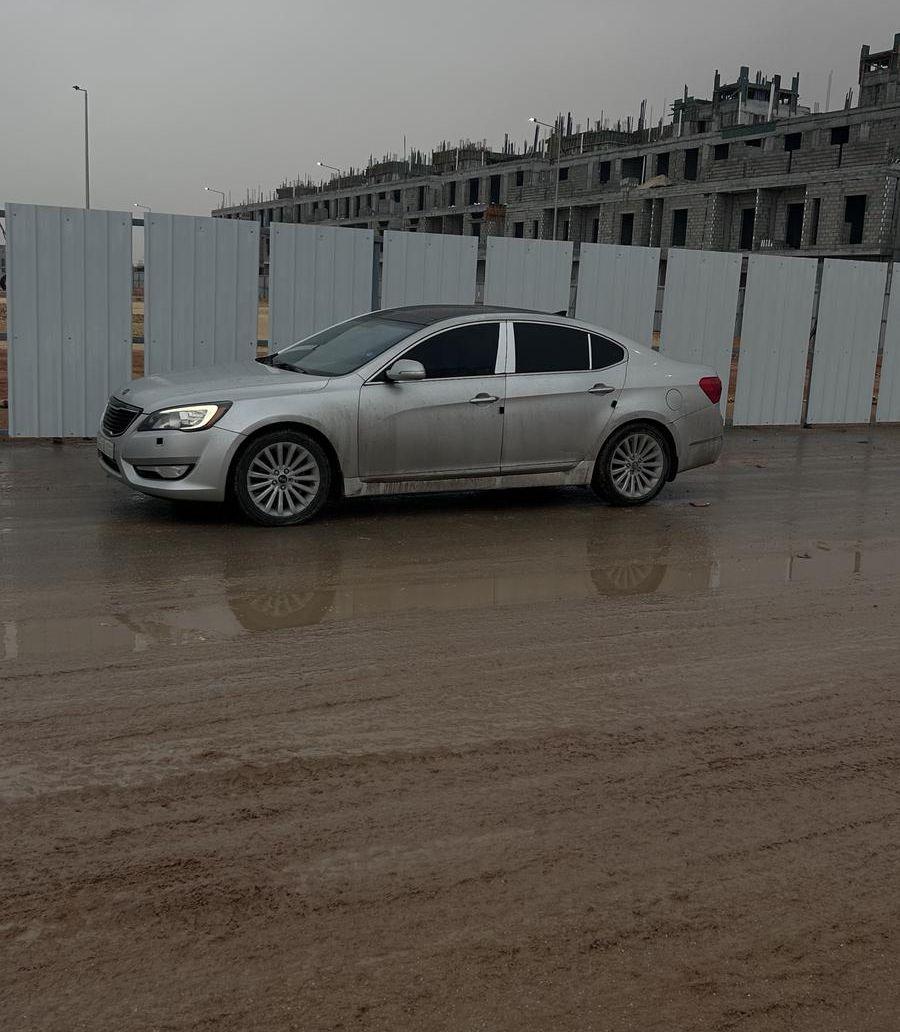 كادينزا 2013