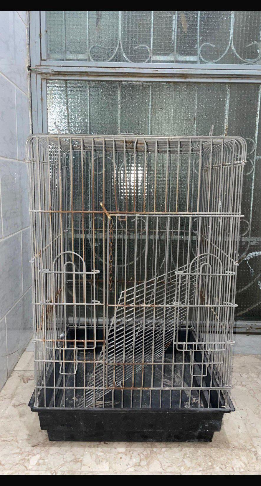 قفص طيور و