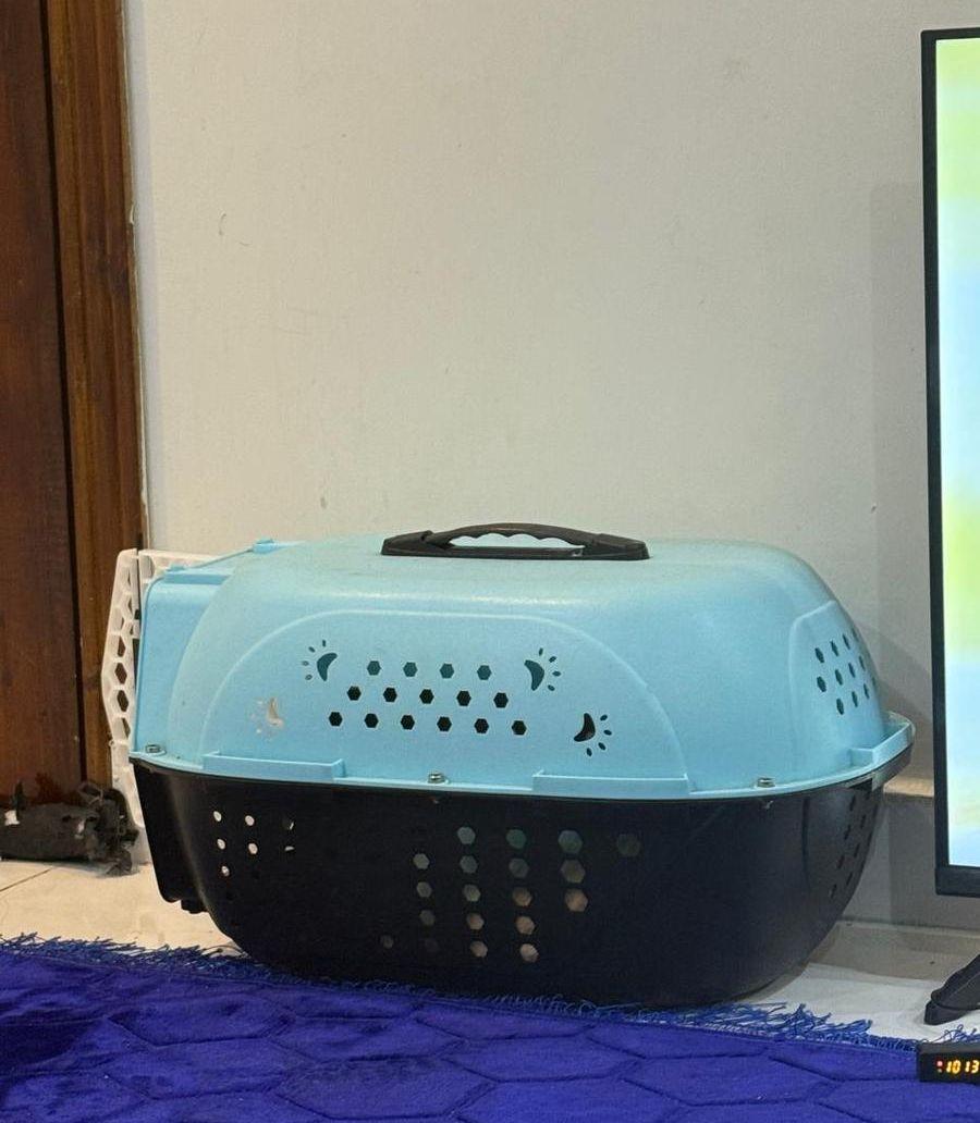 بسة هملايا لتبني