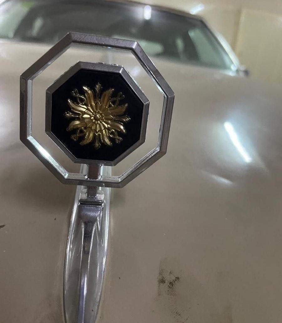 بونتياك بونوفيل 1981