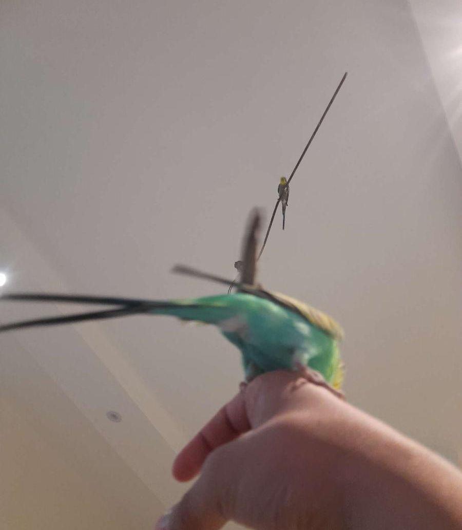 قدم البيت برح