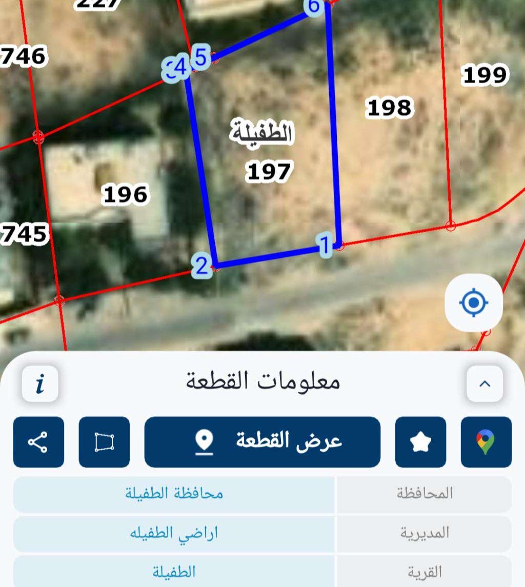 نمرتين ارض للبيع