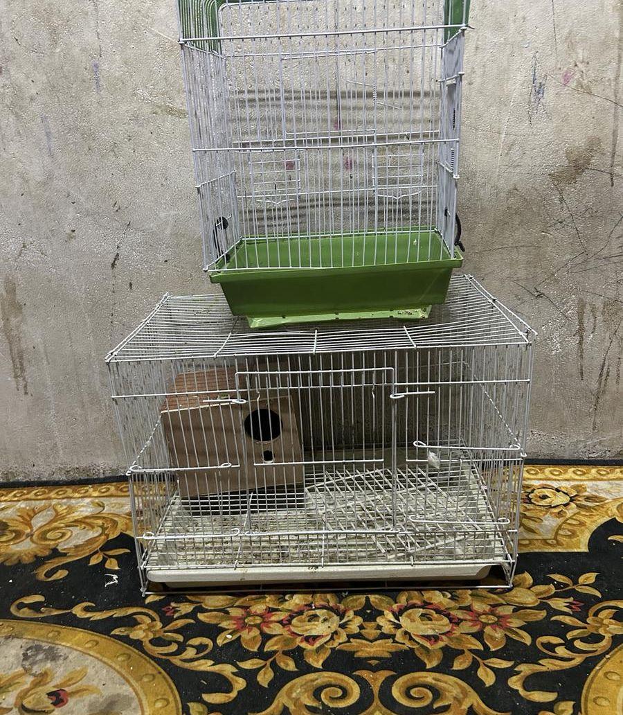 قفص بادجي قفص