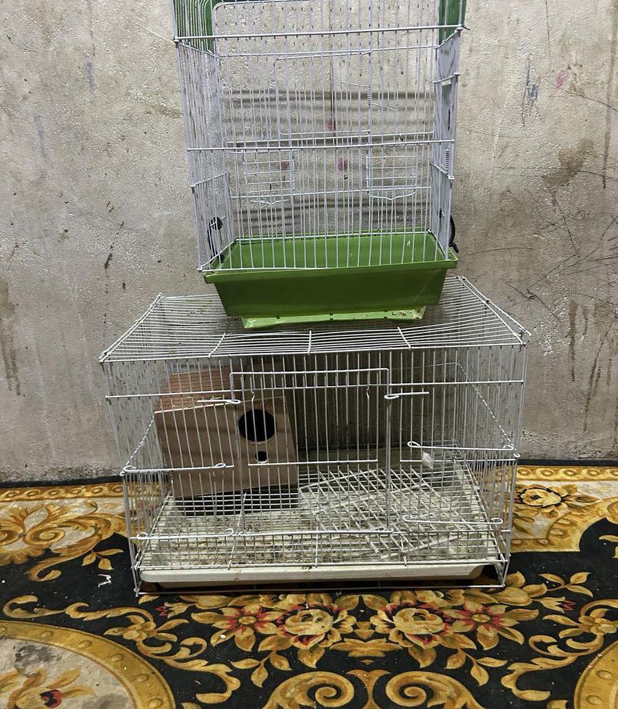 قفص بادجي قفص
