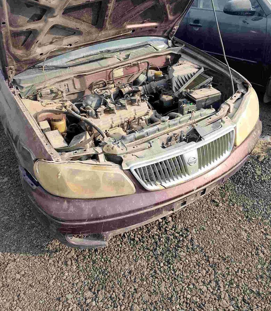 نيسان صني 2006