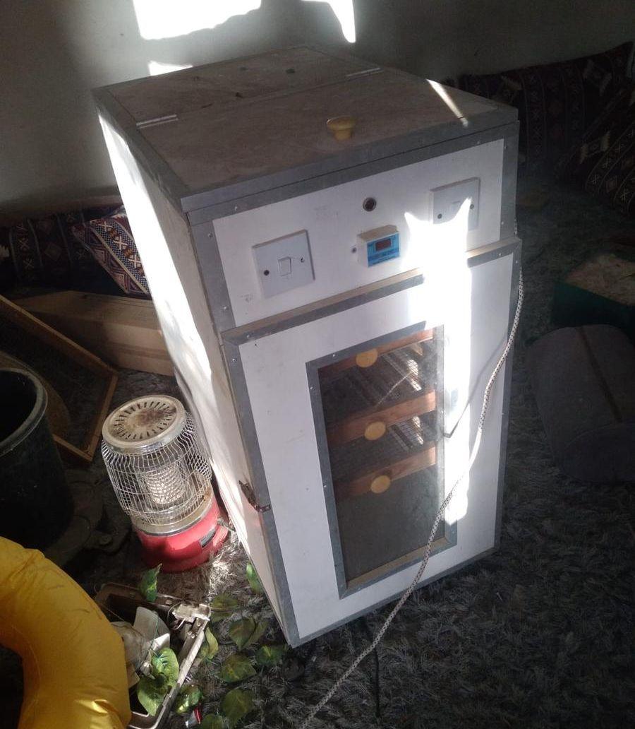 فقاسه حجم وسط