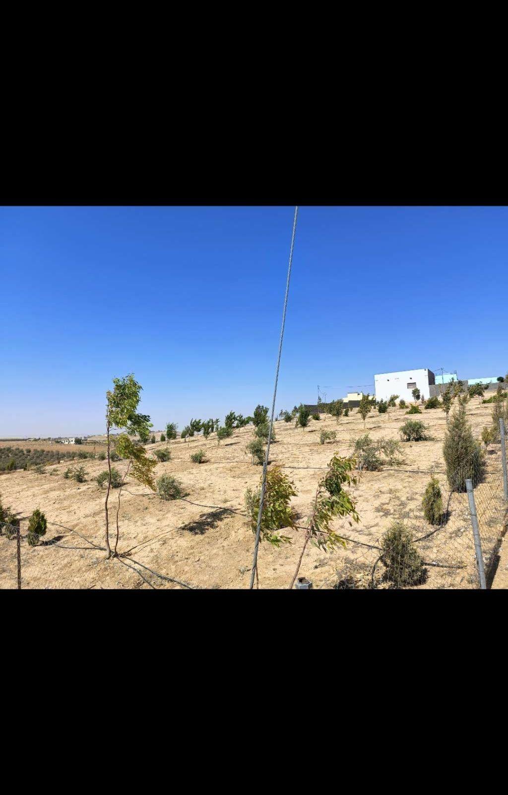 أرض 3620م مطلة