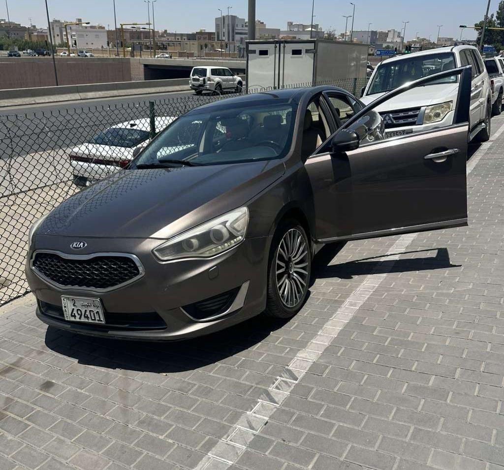 2014 كيا كادينزا