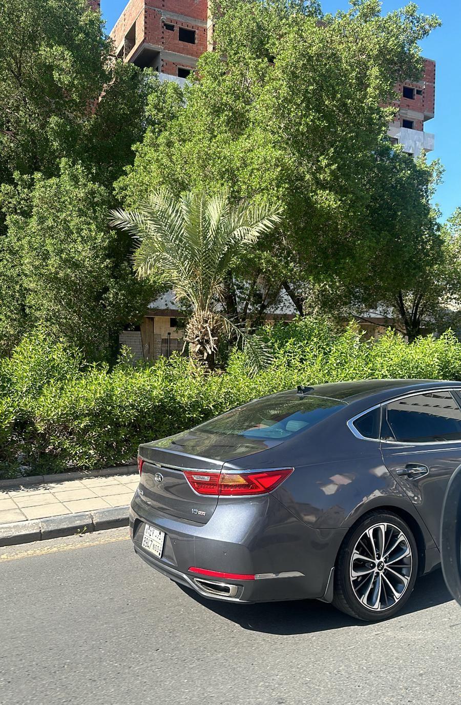 كادينزا 2018 فل