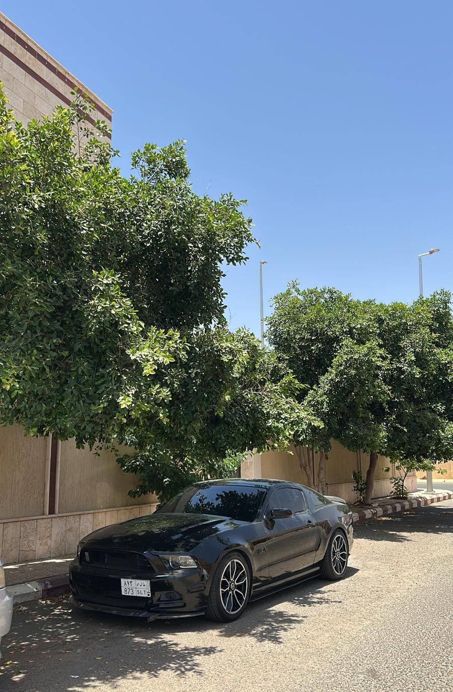 موستنج 2013 بريميوم