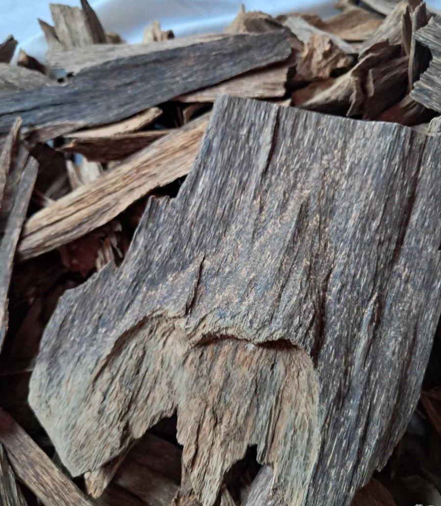 عود بخور مالينو