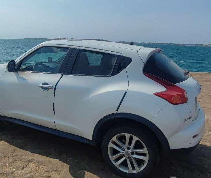 نيسان جوك 2014