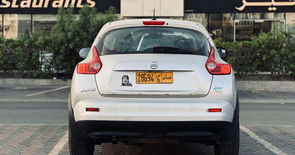 2013 نيسان جوك