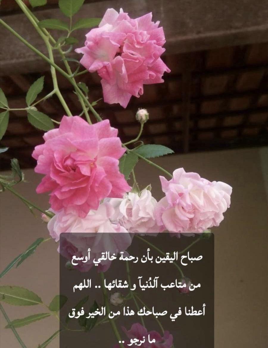 مستلزمات نسائيه