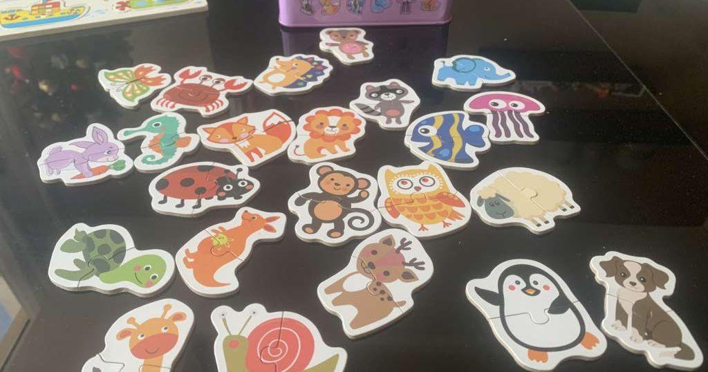 Fun educational toys