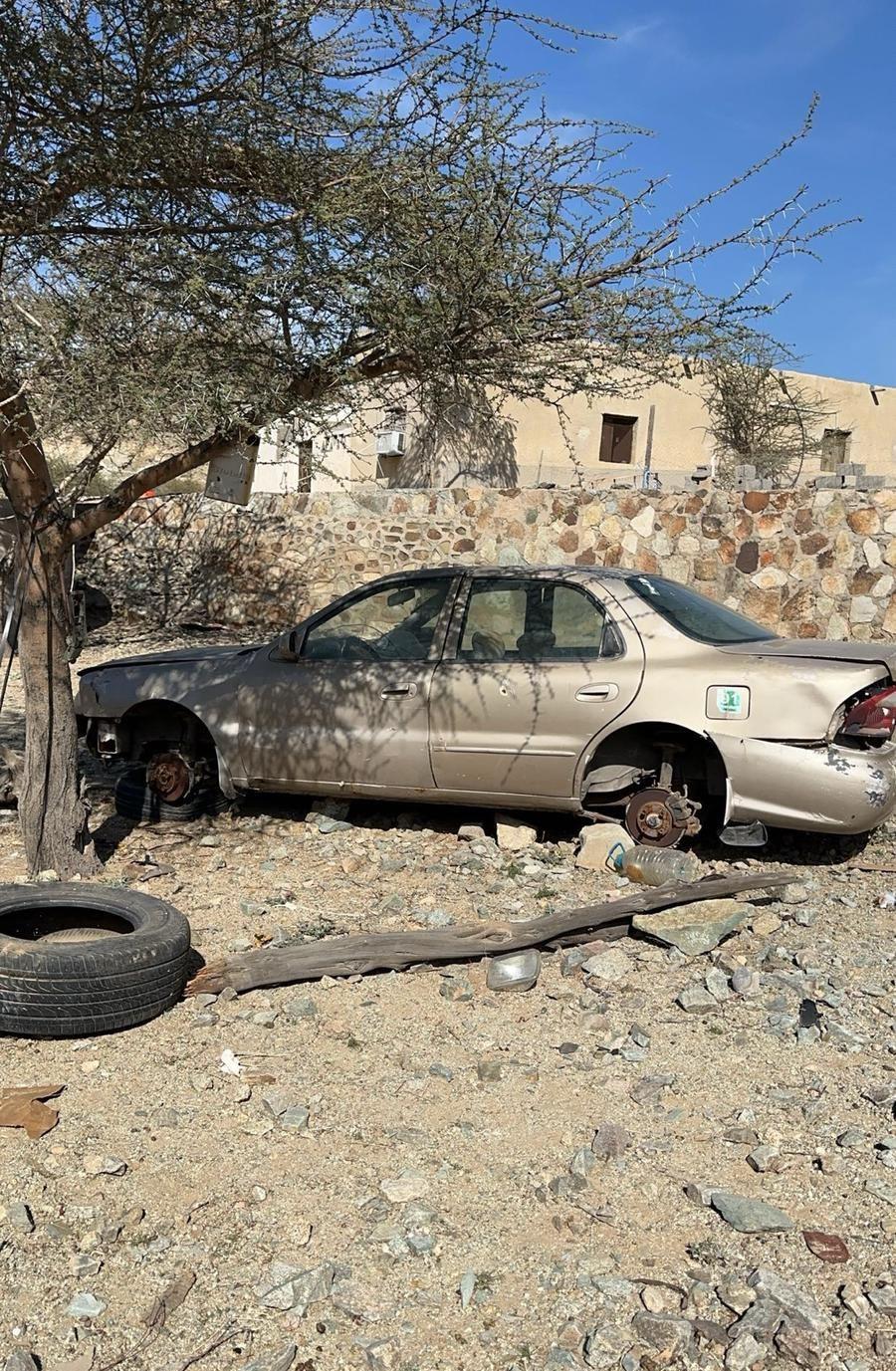 المدينة المنورة اليتمة