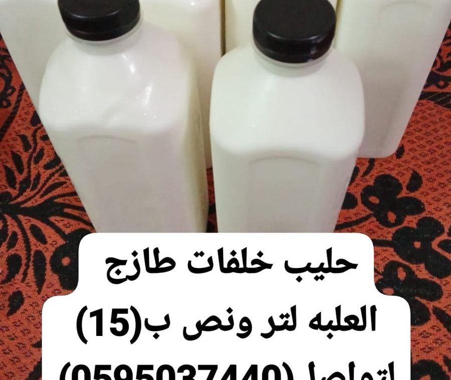 حليب خلفات مصاغير