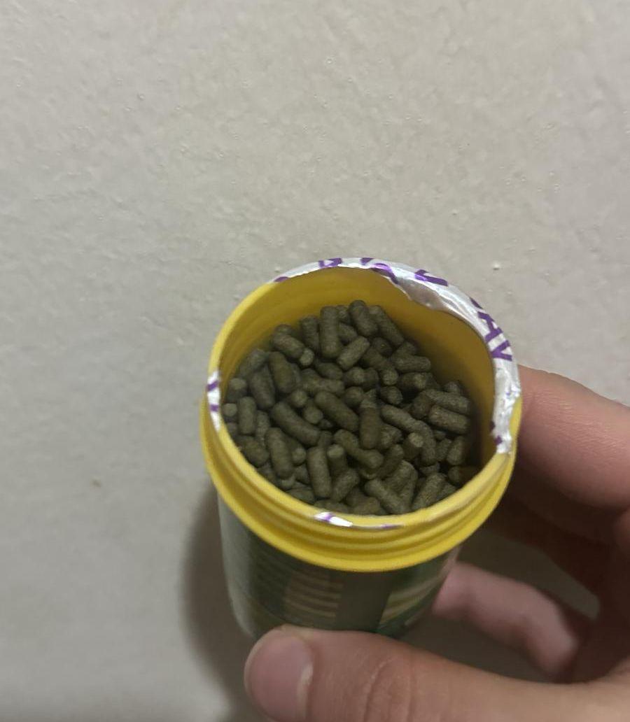 غذاء سلاحف برمائية