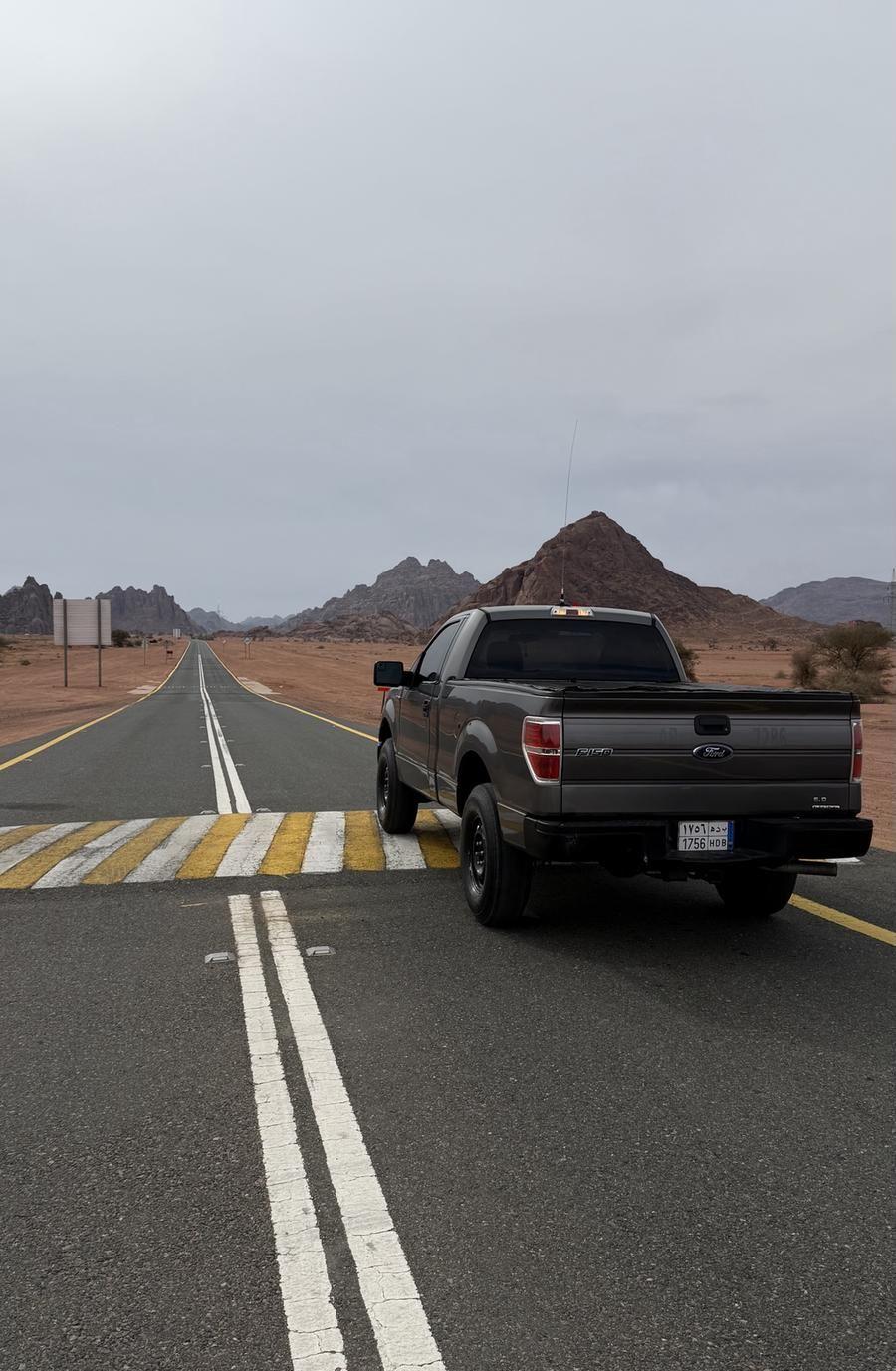 فورد F150