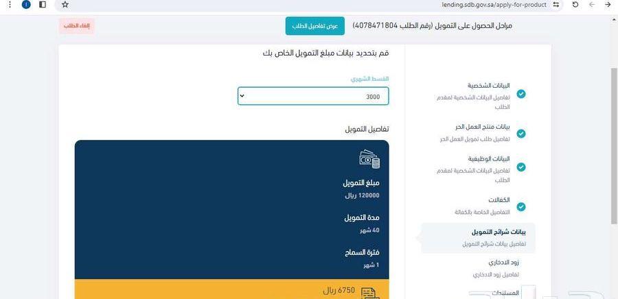 قرض عمل حر
