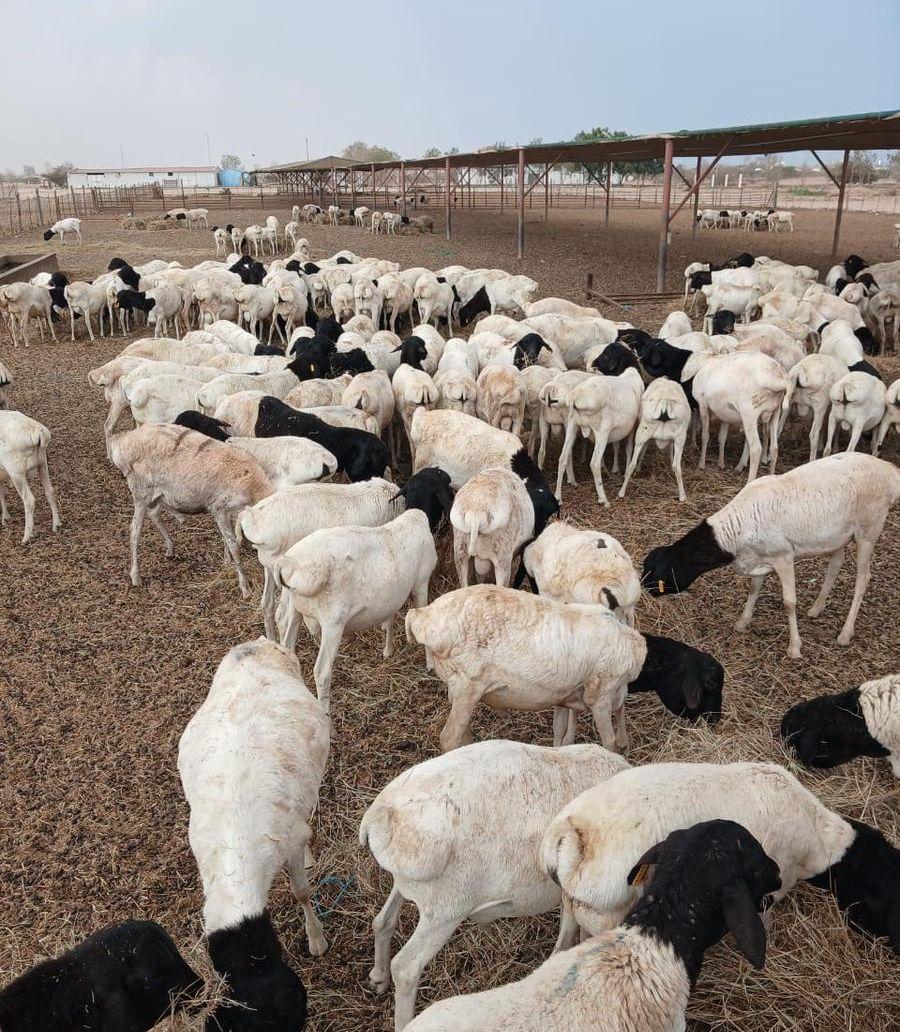 تأمين و توريد