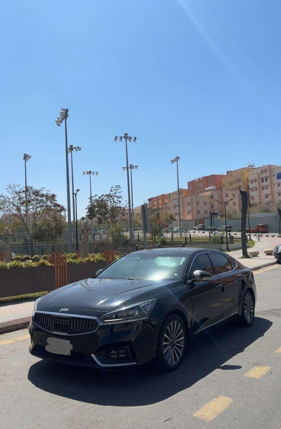 كادينزا مستورد 2019