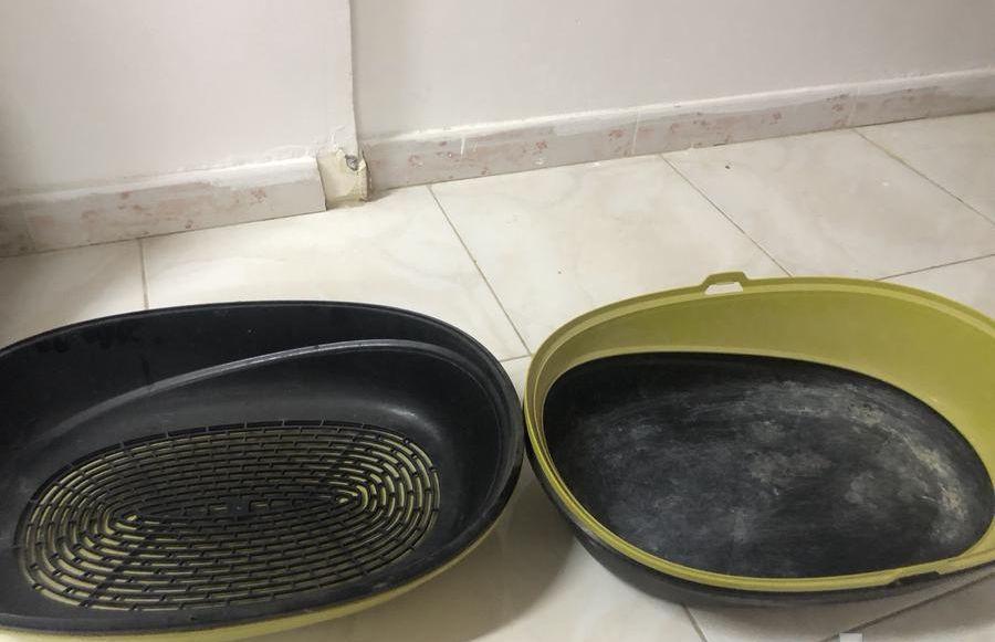 المدينه المنوره حي