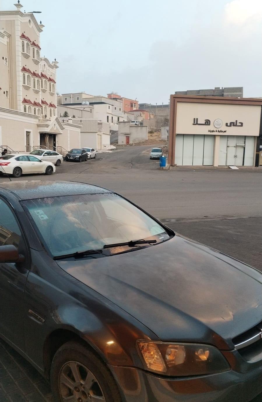 لومينا 2008
