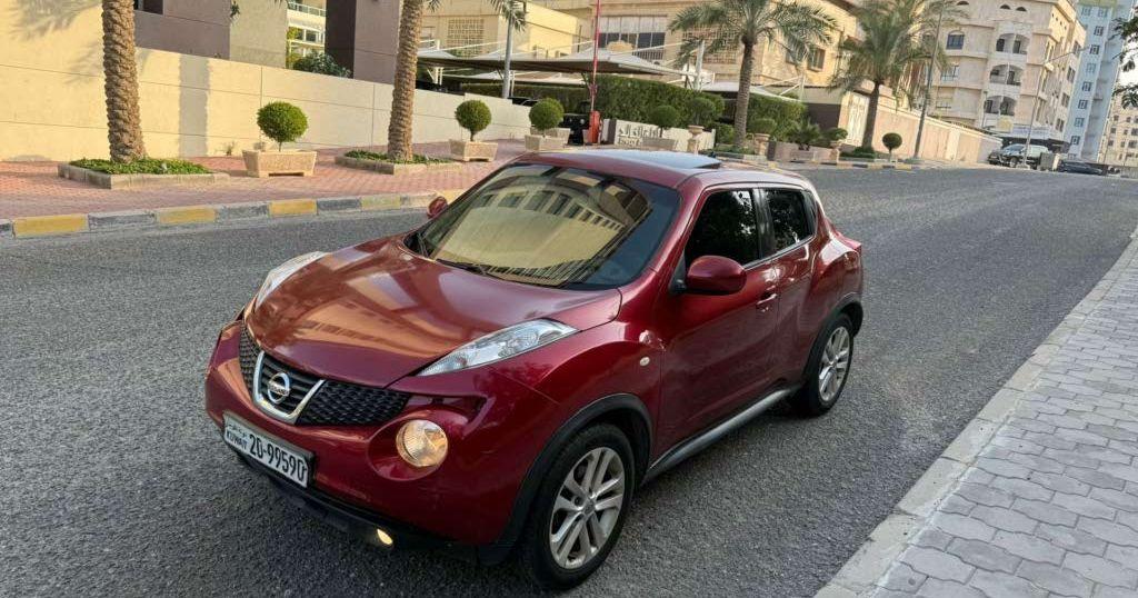 2013 نيسان جوك
