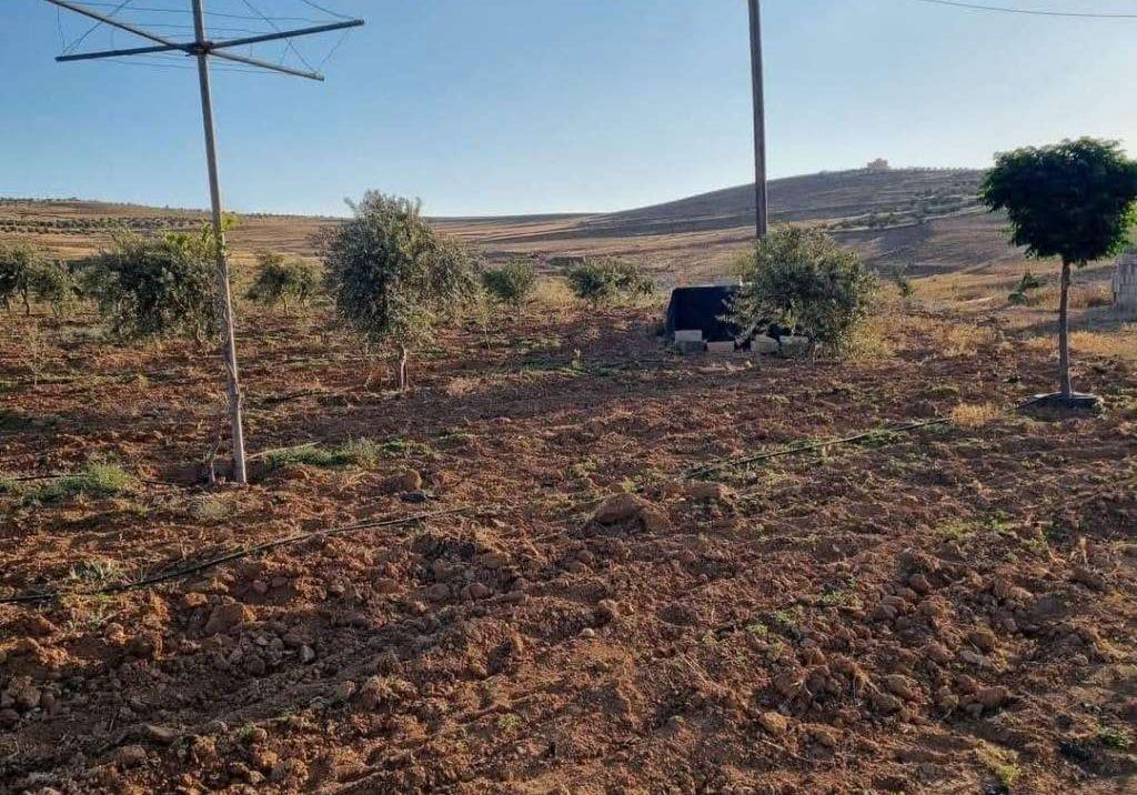 مزرعة للبيع