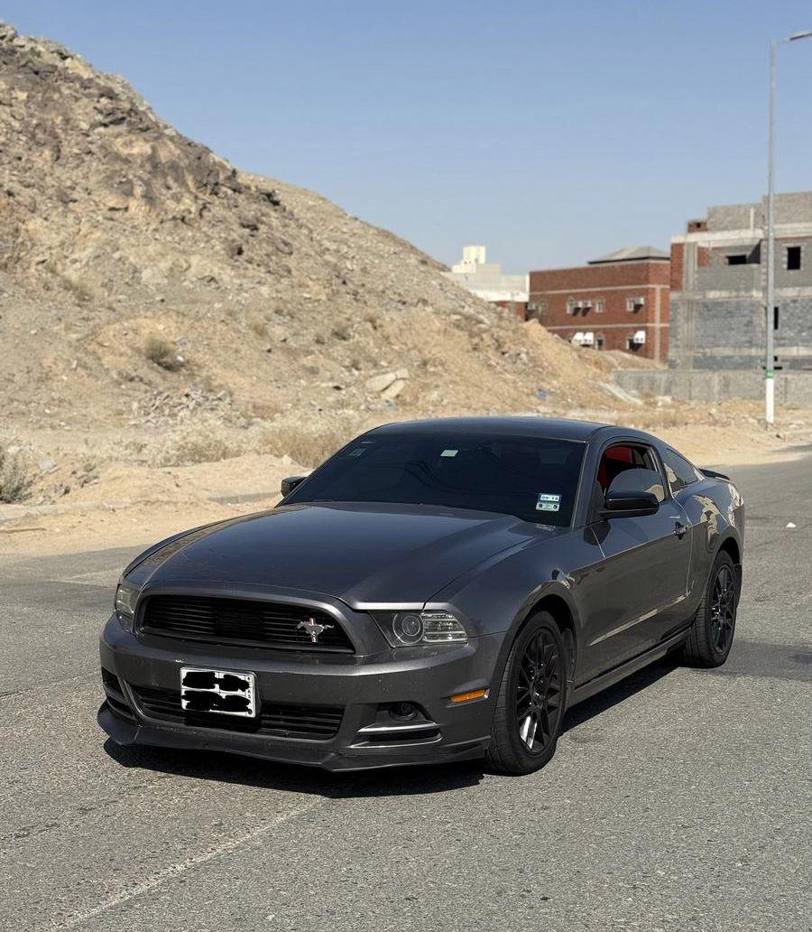 موستنق 2014