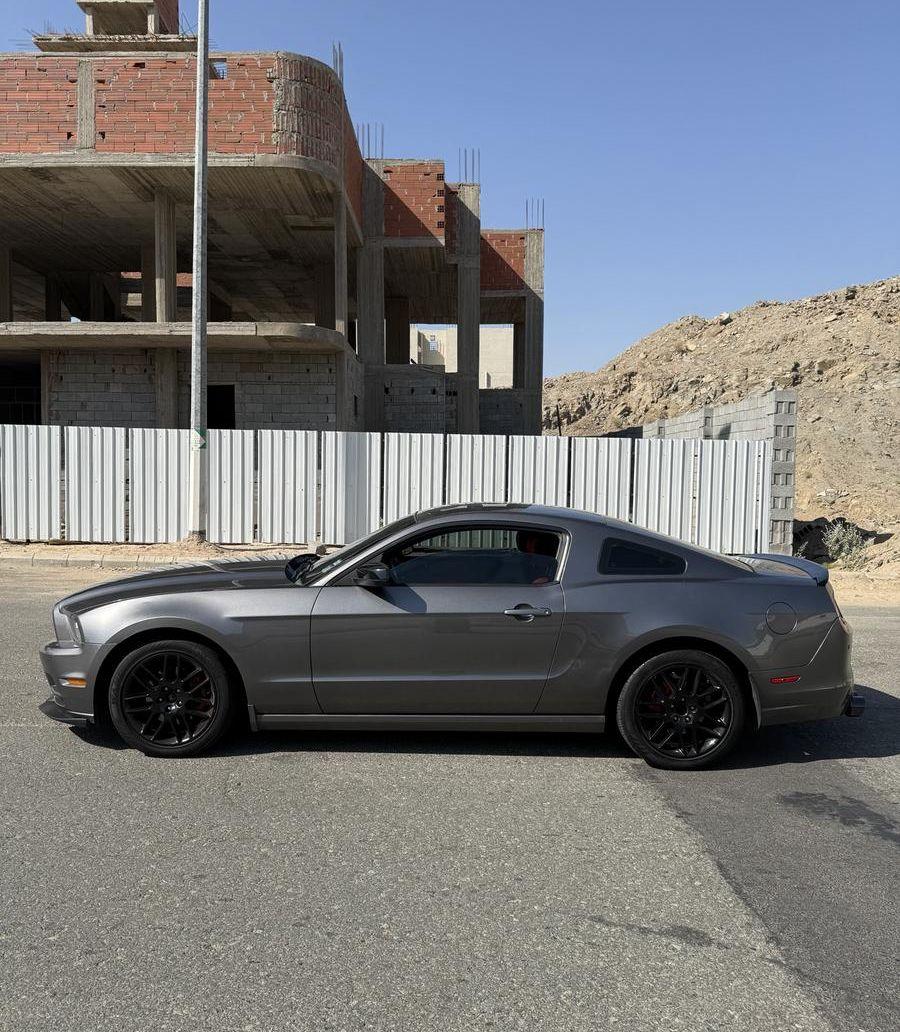 موستنق 2014