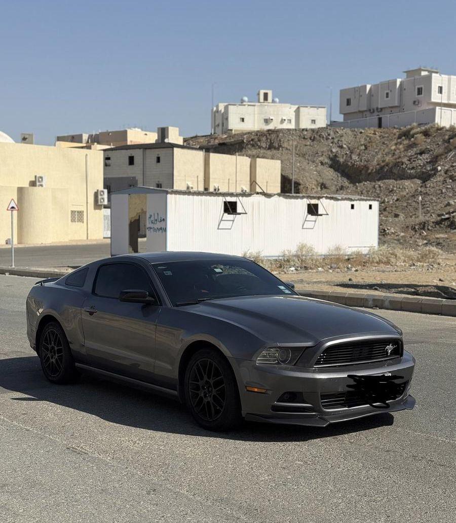 موستنق 2014