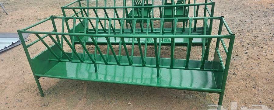 شبوك أغنام وابل