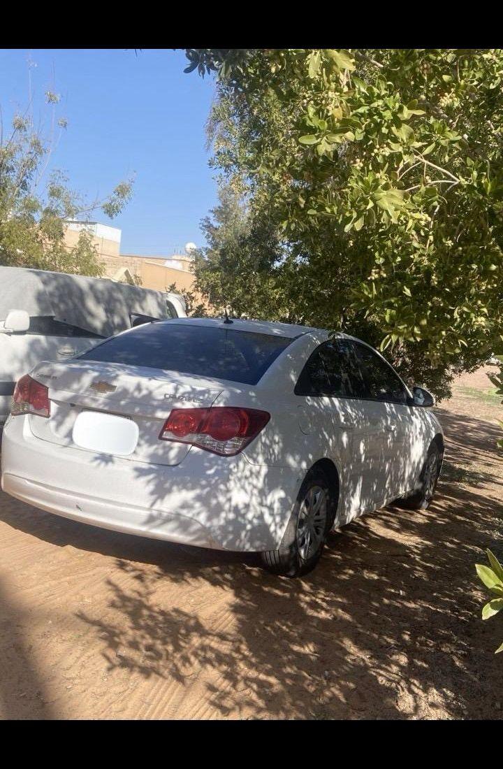 كروز 2013