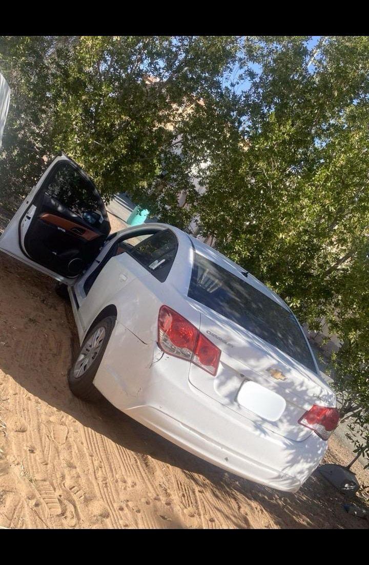 كروز 2013