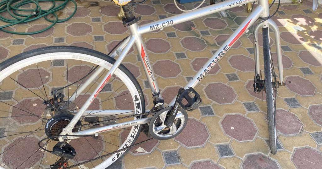 Hybrid spino MZ-c30
