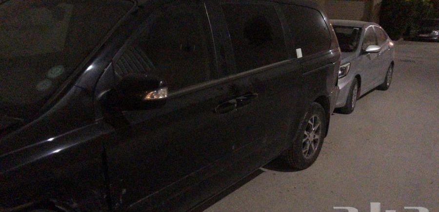 2013 Kia Carnival